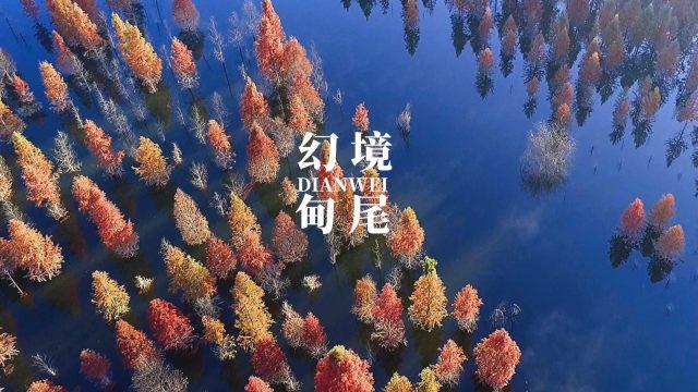 恶魔的睡眠