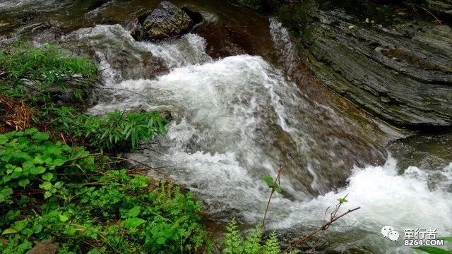 唐山市工人医院：异地帮扶助力基层医疗服务提质效